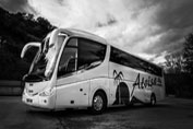 Flota de autobuses de alquiler