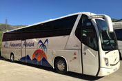 Flota de autobuses de alquiler
